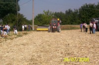 /album/quaresrl/immagine-681-jpg/